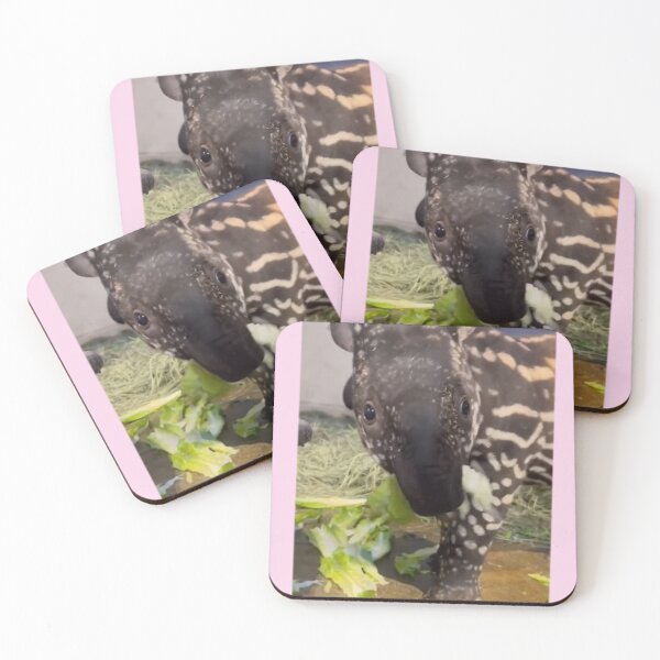 Item preview, Baby Tapir designed and sold by Courtney Croxall.