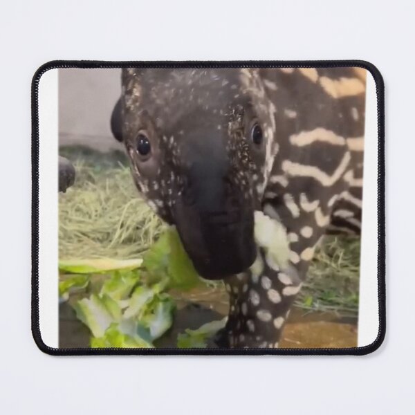 Item preview, Baby Tapir designed and sold by Courtney Croxall.