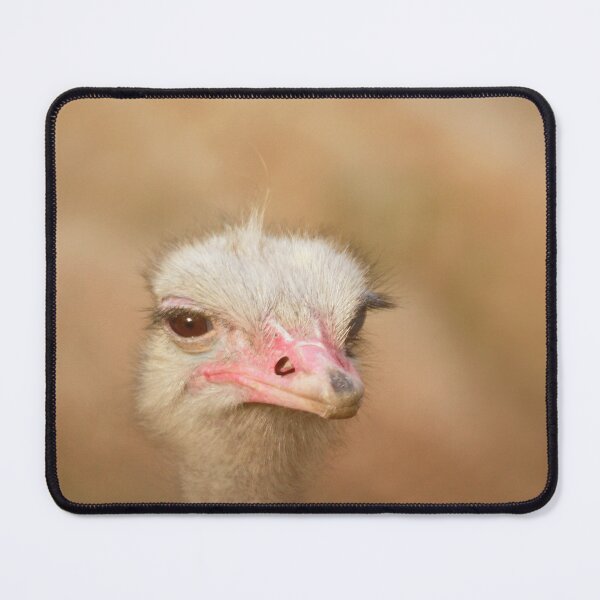 Item preview, Why the long neck designed and sold by miradorpictures.