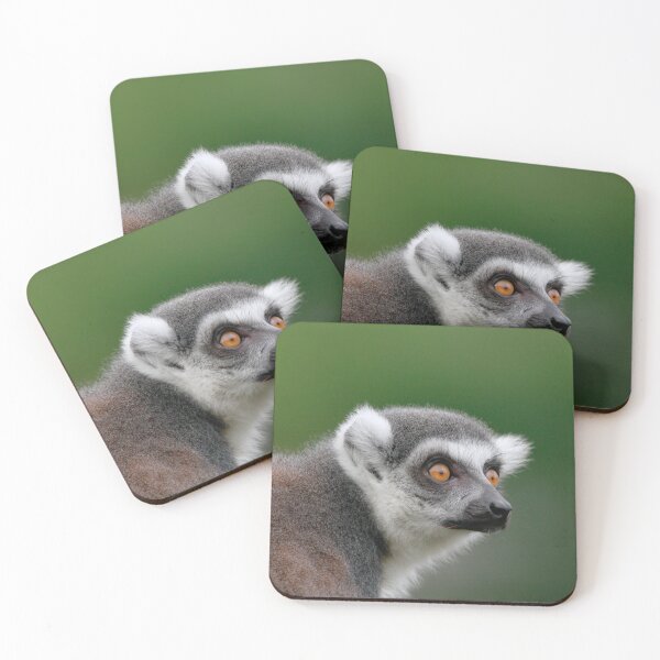 Item preview, Lemur lookout designed and sold by miradorpictures.