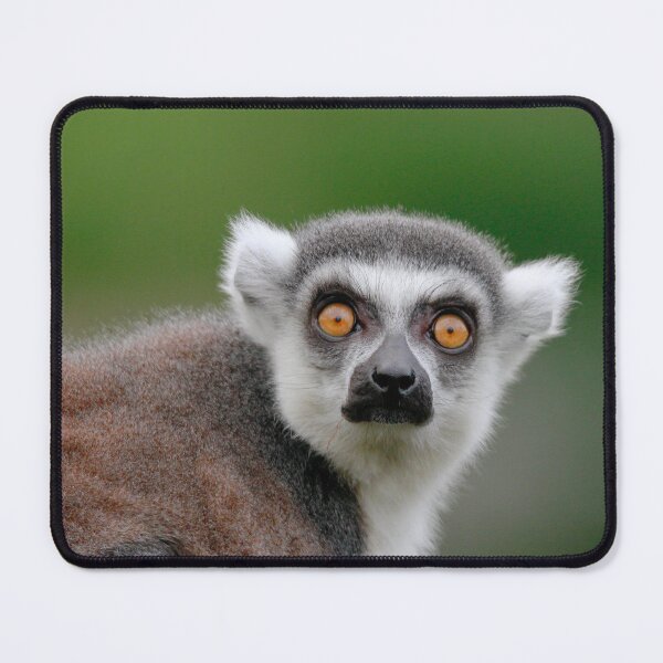 Item preview, Bright eyes  designed and sold by miradorpictures.