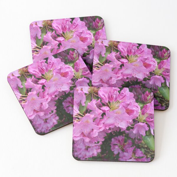 Item preview, Purple Gem Rhododendron in Bloom designed and sold by Bud, Blossom & Bloom.