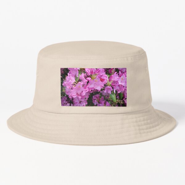 Aperçu de l'œuvre Rhododendron Purple Gem en fleur créée et vendue par Bud, Blossom & Bloom.