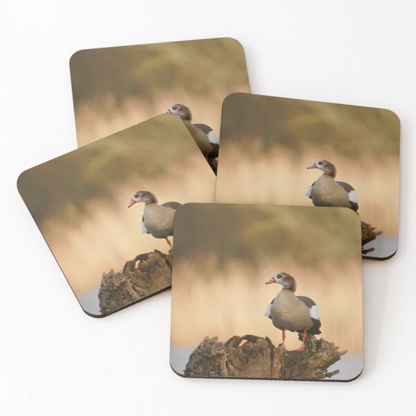 Item preview, Stumped  designed and sold by miradorpictures.