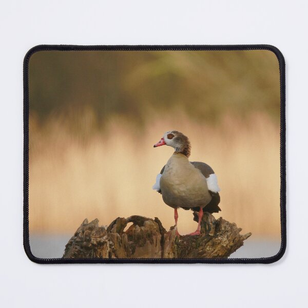 Item preview, Stumped  designed and sold by miradorpictures.