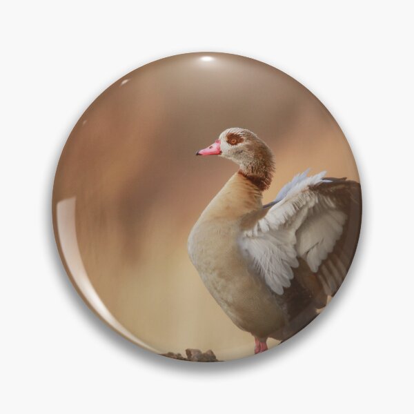 Item preview, Caught in a flap  designed and sold by miradorpictures.