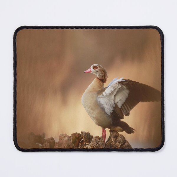 Item preview, Caught in a flap  designed and sold by miradorpictures.