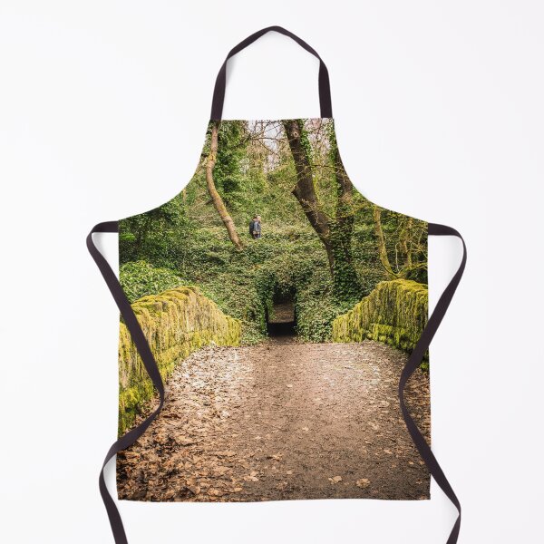 Item preview, moss-covered stone bridge leading to a tunnel in a lush, green forest, designed and sold by David Patterson.