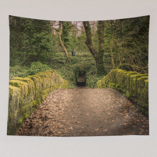 Item preview, moss-covered stone bridge leading to a tunnel in a lush, green forest, designed and sold by David Patterson.