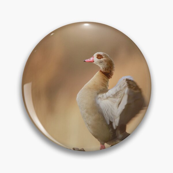 Item preview, Ready for take off  designed and sold by miradorpictures.