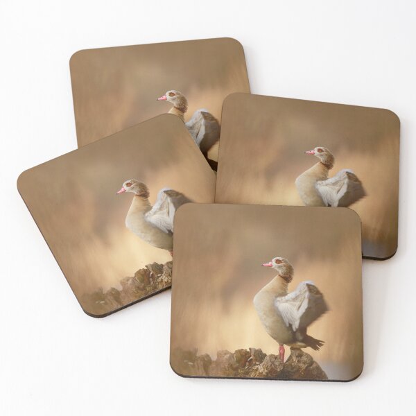 Item preview, Ready for take off  designed and sold by miradorpictures.