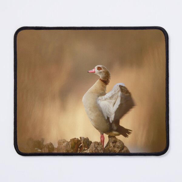 Item preview, Ready for take off  designed and sold by miradorpictures.