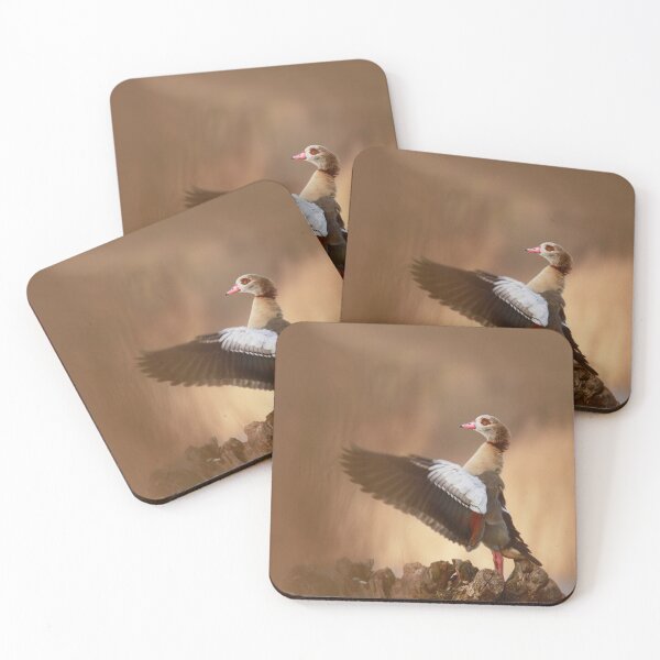 Item preview, Alas afuera designed and sold by miradorpictures.