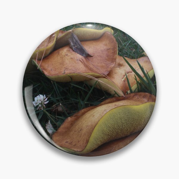 Item preview, Brown and Yellow Boletes in the Grass designed and sold by WolfNoodles.