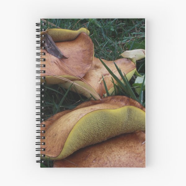 Item preview, Brown and Yellow Boletes in the Grass designed and sold by WolfNoodles.
