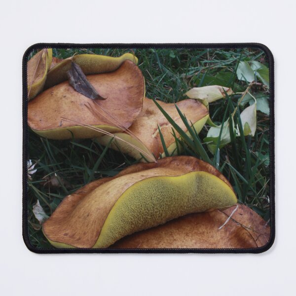 Item preview, Brown and Yellow Boletes in the Grass designed and sold by WolfNoodles.