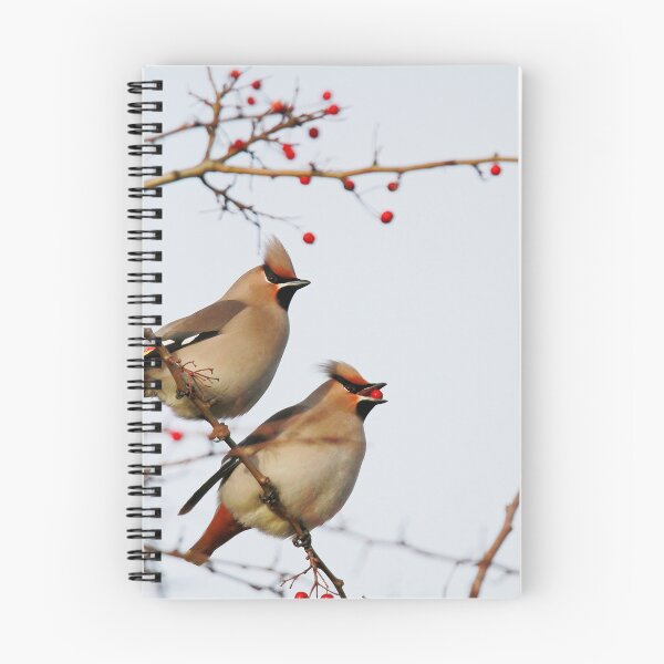 Item preview, Waxy berries designed and sold by miradorpictures.