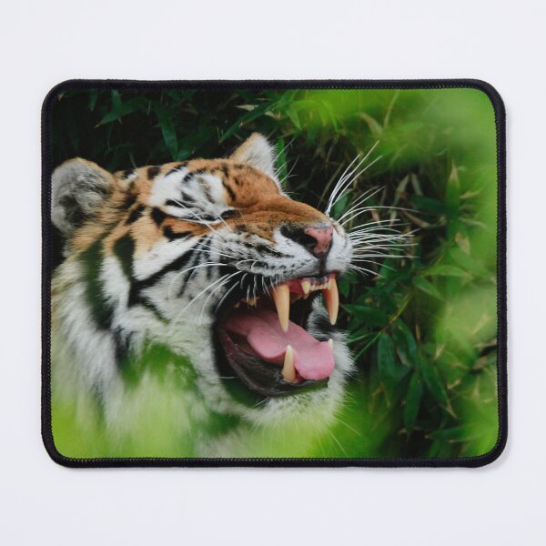 Item preview, Dinnertime designed and sold by miradorpictures.