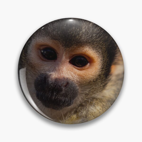 Item preview, Curious squirrel monkey designed and sold by Pepe2024.