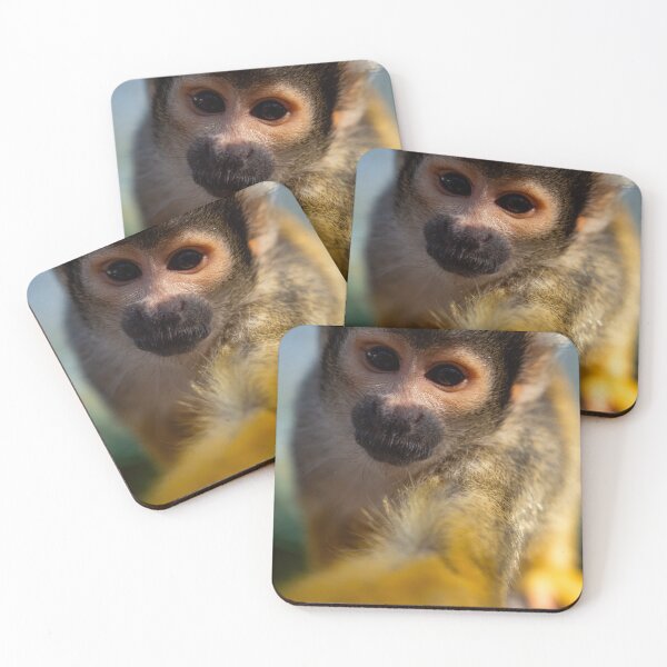 Item preview, Curious squirrel monkey designed and sold by Pepe2024.