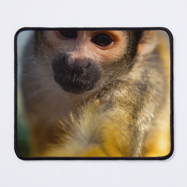 Item preview, Curious squirrel monkey designed and sold by Pepe2024.