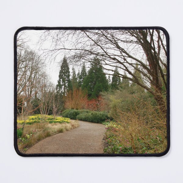 Item preview, The path of winter designed and sold by miradorpictures.