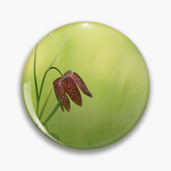 Item preview, Focus on Fritillaries  designed and sold by miradorpictures.