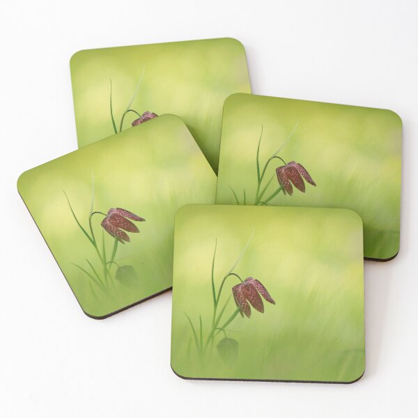 Item preview, Focus on Fritillaries  designed and sold by miradorpictures.