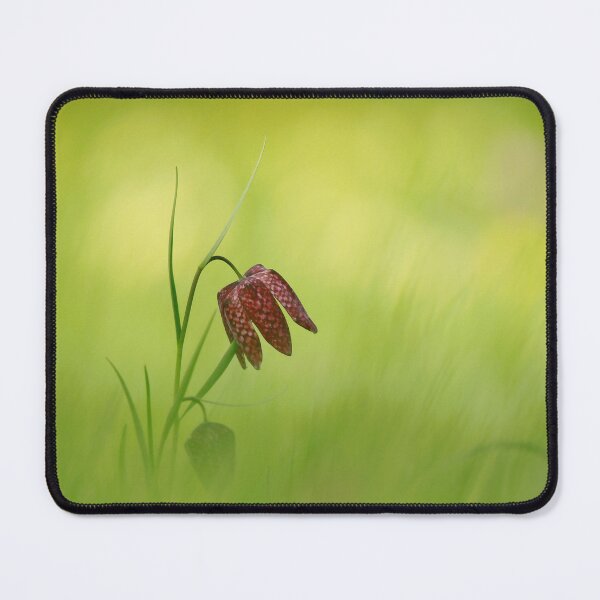 Item preview, Focus on Fritillaries designed and sold by miradorpictures.