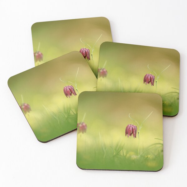 Item preview, Fabulous Fritillaries designed and sold by miradorpictures.