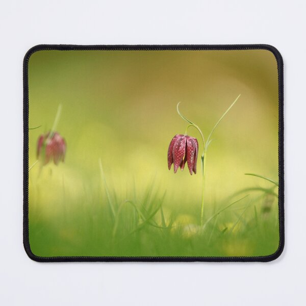 Item preview, Fabulous Fritillaries designed and sold by miradorpictures.