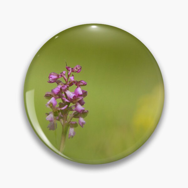 Item preview, The lonely orchid designed and sold by miradorpictures.