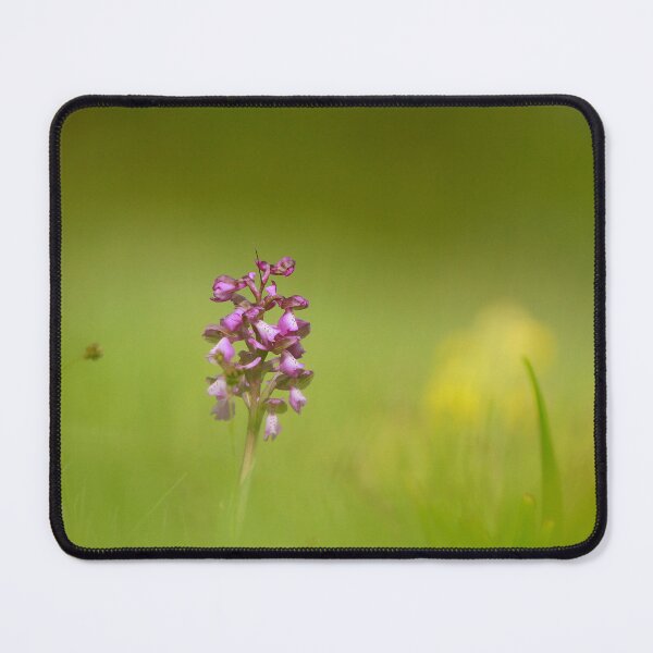 Item preview, The lonely orchid designed and sold by miradorpictures.