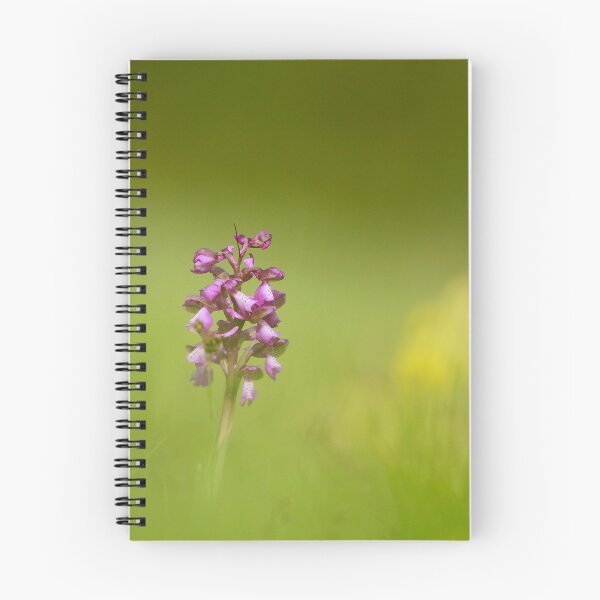 Item preview, The lonely orchid designed and sold by miradorpictures.