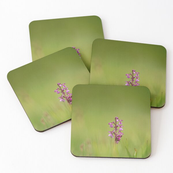 Item preview, Orchids emerge designed and sold by miradorpictures.