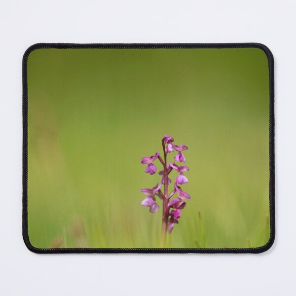 Item preview, Orchids emerge designed and sold by miradorpictures.