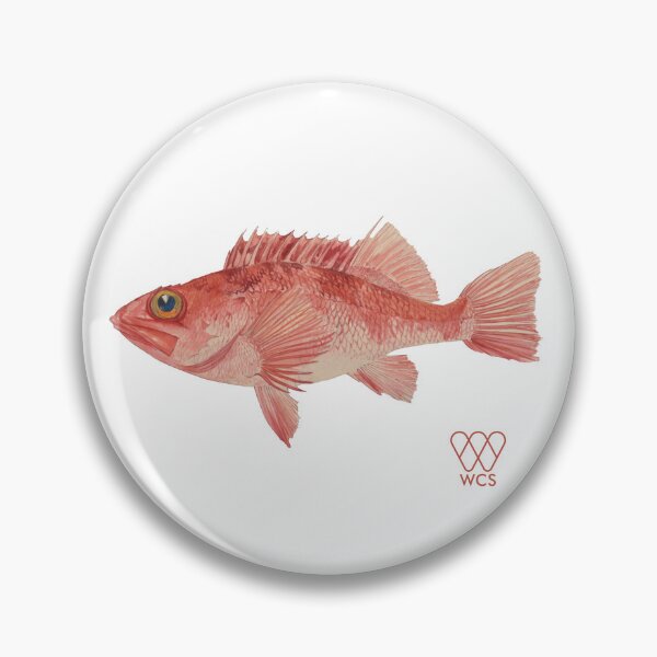 Item preview, Hudson Canyon Blackbelly Rosefish designed and sold by WCS-Archives.