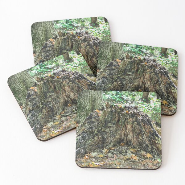 Item preview, Mother Nature's Art designed and sold by heatherfriedman.