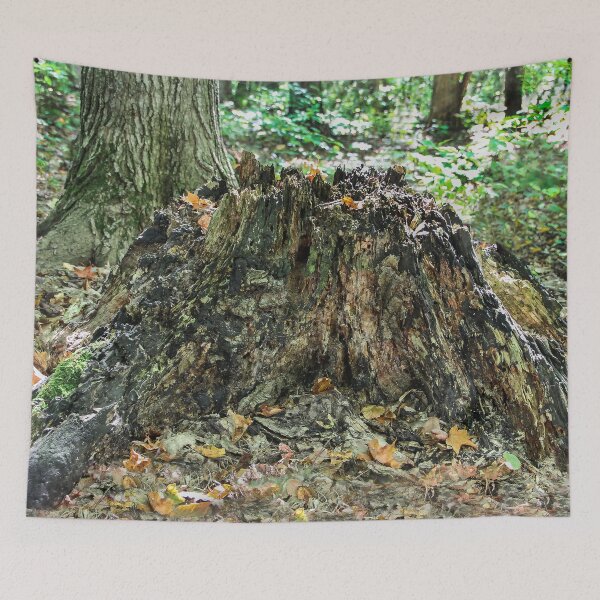 Item preview, Mother Nature's Art designed and sold by heatherfriedman.