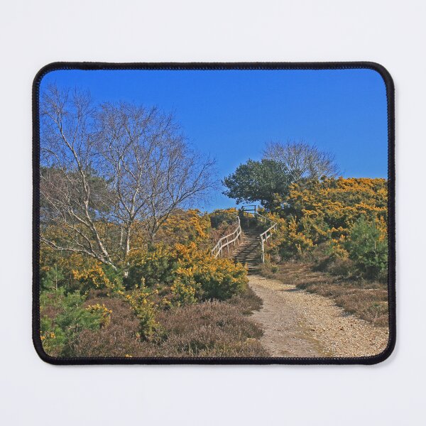 Item preview, Shipstal Viewpoint, Arne, March 2025 designed and sold by RedHillDigital.