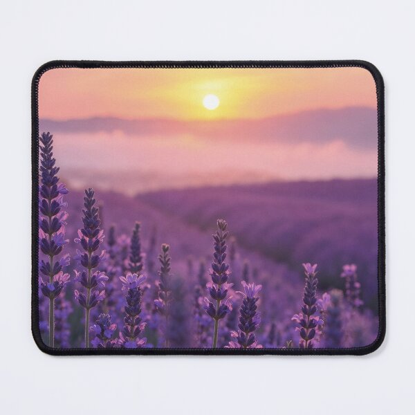 Item preview, Lavender field at sunset designed and sold by TodoBonito.