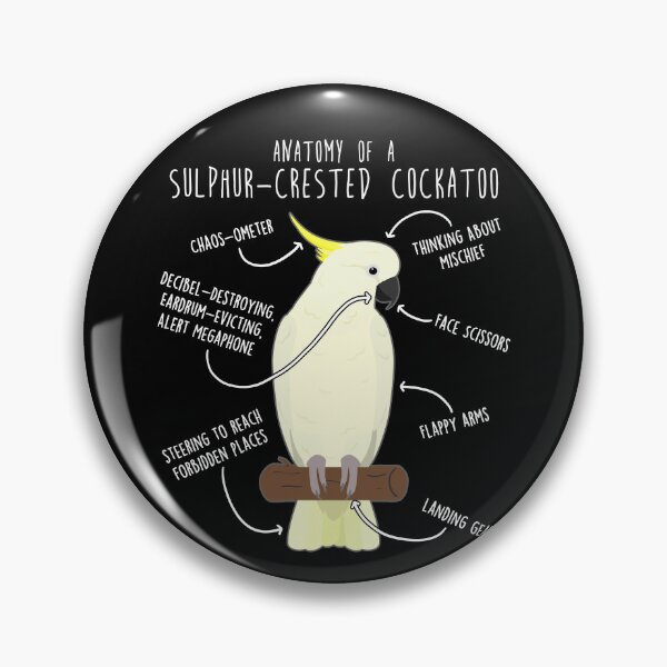 Item preview, Sulphur-Crested Cockatoo Parrot Anatomy designed and sold by Clara Hollins.