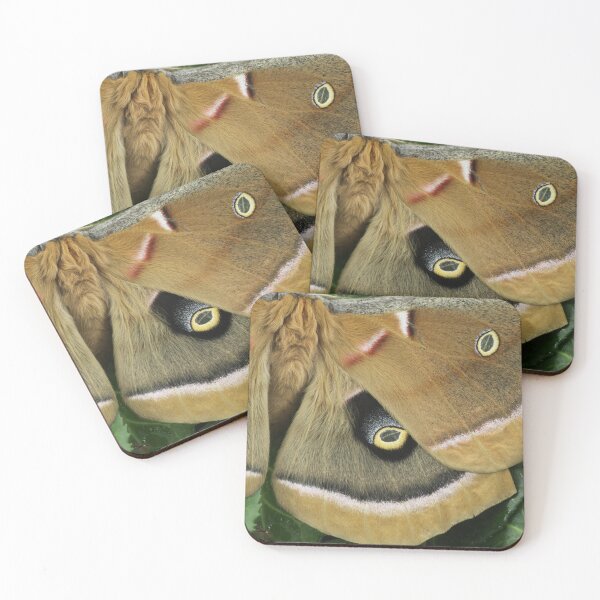 Item preview, Polyphemus Moth designed and sold by WolfNoodles.