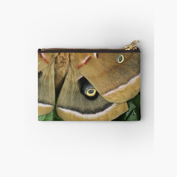 Item preview, Polyphemus Moth designed and sold by WolfNoodles.