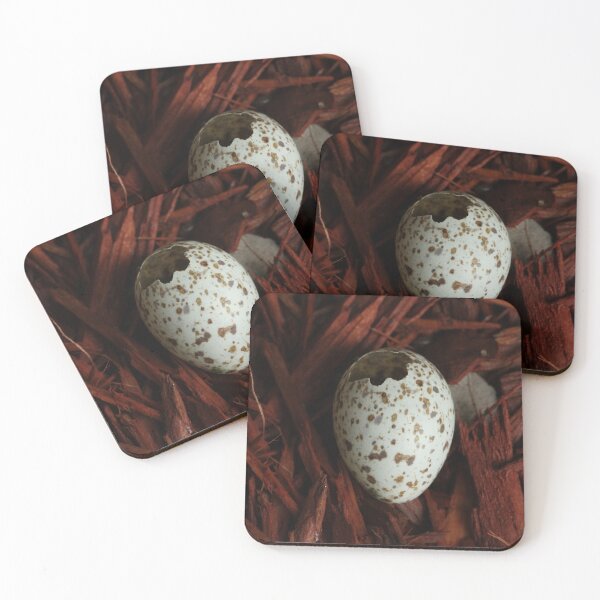 Item preview, Wild Bird Egg Shell in Red Mulch designed and sold by WolfNoodles.