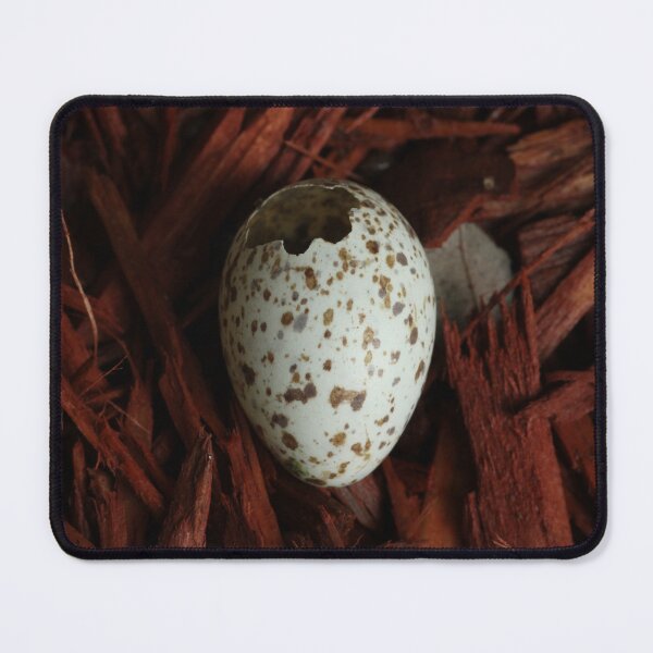 Item preview, Wild Bird Egg Shell in Red Mulch designed and sold by WolfNoodles.