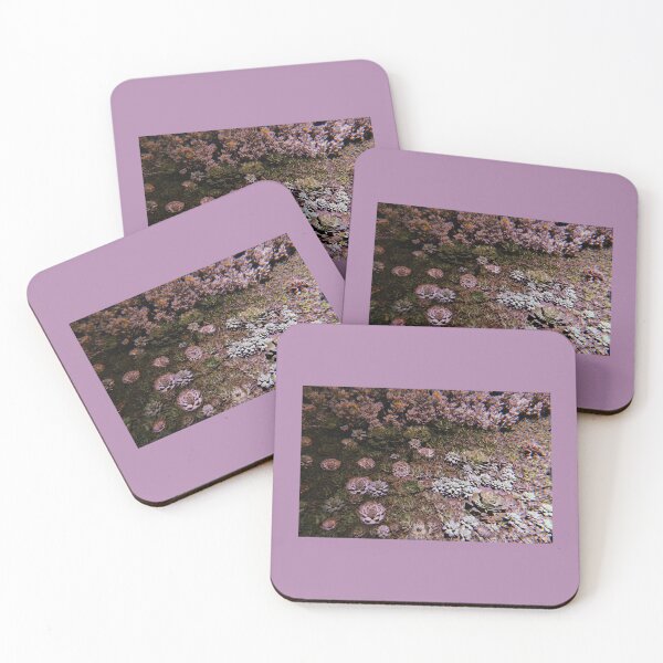Item preview, succulent garden photography designed and sold by chickflickcomfort.