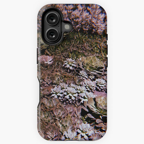 Aperçu de l'œuvre photographie de jardin de plantes succulentes créée et vendue par chickflickcomfort.