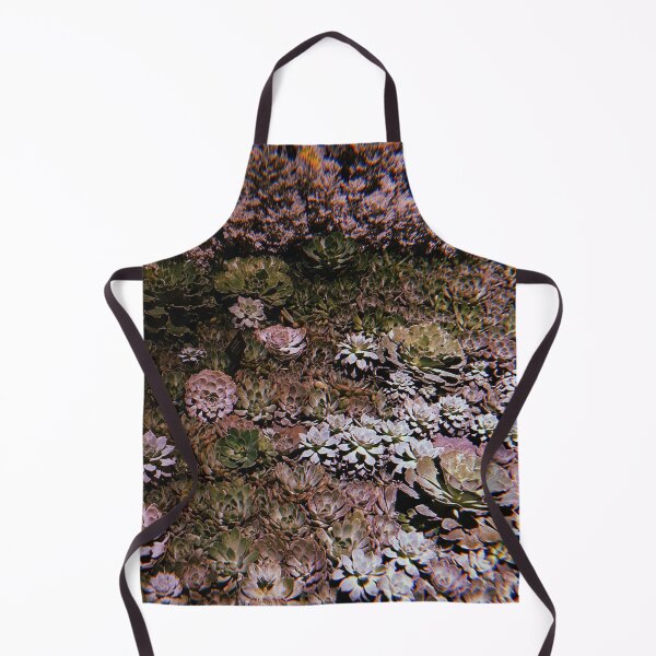 Item preview, succulent garden photography designed and sold by chickflickcomfort.
