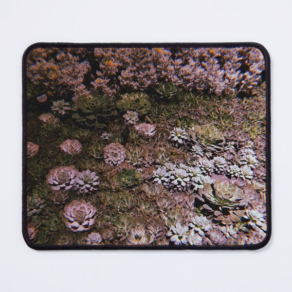 Item preview, succulent garden photography designed and sold by chickflickcomfort.